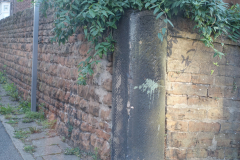 DSC00517