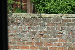 DSC03175-2
