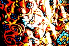 DSC01599